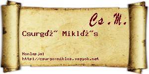 Csurgó Miklós névjegykártya