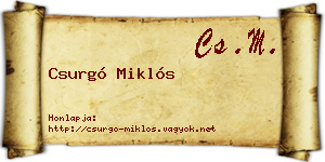 Csurgó Miklós névjegykártya